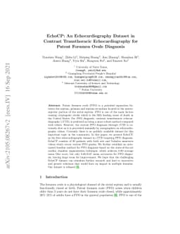 EchoCP: An Echocardiography Dataset in Contrast Transthoracic
  Echocardiography for Patent Foramen Ovale Diagnosis