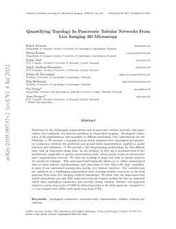 Quantifying Topology In Pancreatic Tubular Networks From Live Imaging 3D
  Microscopy