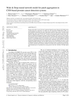 Wide & Deep neural network model for patch aggregation in CNN-based
  prostate cancer detection systems