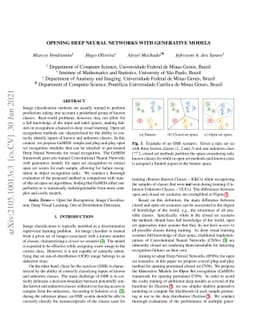 Opening Deep Neural Networks with Generative Models