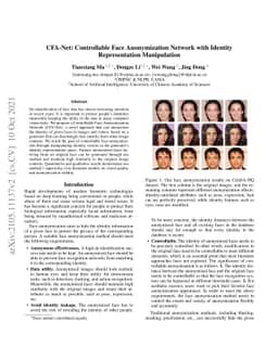 CFA-Net: Controllable Face Anonymization Network with Identity
  Representation Manipulation