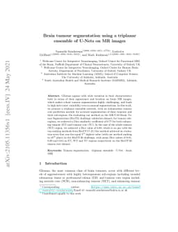Brain tumour segmentation using a triplanar ensemble of U-Nets
