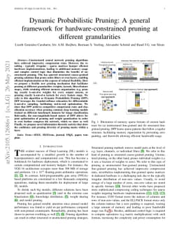 Dynamic Probabilistic Pruning: A general framework for
  hardware-constrained pruning at different granularities