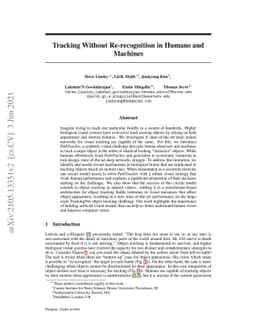 Tracking Without Re-recognition in Humans and Machines