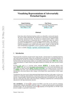 Visualizing Representations of Adversarially Perturbed Inputs