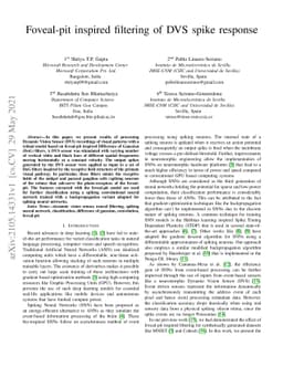 Foveal-pit inspired filtering of DVS spike response