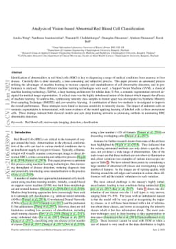 Analysis of Vision-based Abnormal Red Blood Cell Classification