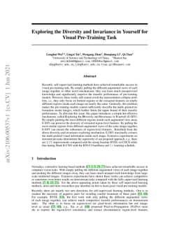 Exploring the Diversity and Invariance in Yourself for Visual
  Pre-Training Task