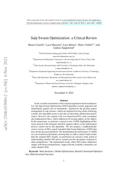 Salp Swarm Optimization: a Critical Review