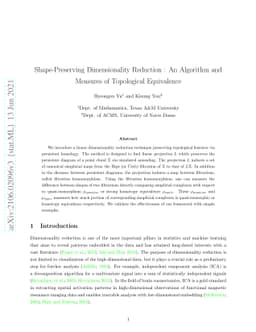 Shape-Preserving Dimensionality Reduction : An Algorithm and Measures of
  Topological Equivalence