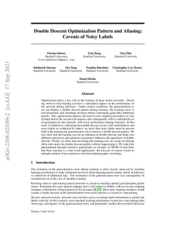 Double Descent Optimization Pattern and Aliasing: Caveats of Noisy
  Labels