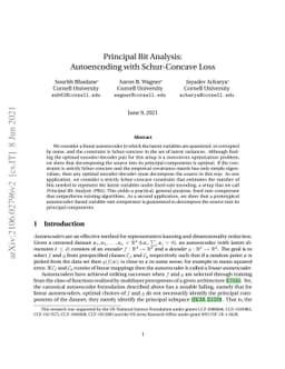 Principal Bit Analysis: Autoencoding with Schur-Concave Loss