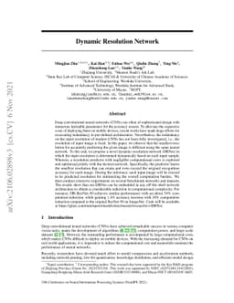 Dynamic Resolution Network