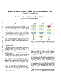 Reducing the feature divergence of RGB and near-infrared images using
  Switchable Normalization