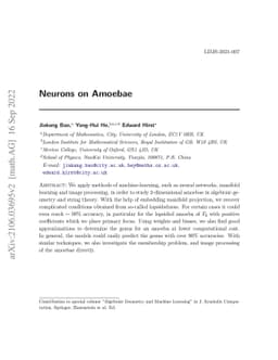 Neurons on Amoebae