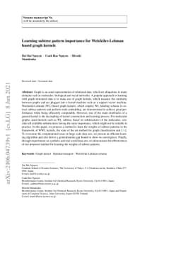 Learning subtree pattern importance for Weisfeiler-Lehmanbased graph
  kernels