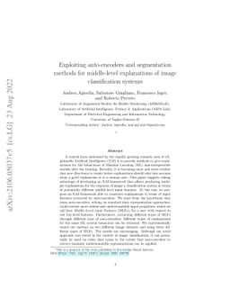 Exploiting auto-encoders and segmentation methods for middle-level
  explanations of image classification systems