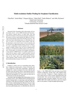 Multi-resolution Outlier Pooling for Sorghum Classification