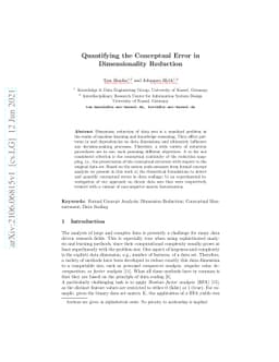 Quantifying the Conceptual Error in Dimensionality Reduction