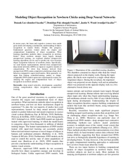 Modeling Object Recognition in Newborn Chicks using Deep Neural Networks