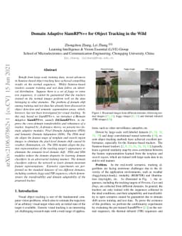 Domain Adaptive SiamRPN++ for Object Tracking in the Wild