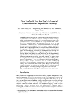 Now You See It, Now You Dont: Adversarial Vulnerabilities in
  Computational Pathology