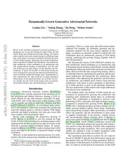 Dynamically Grown Generative Adversarial Networks