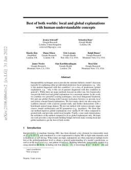 Best of both worlds: local and global explanations with
  human-understandable concepts