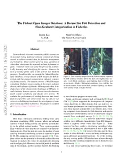 The Fishnet Open Images Database: A Dataset for Fish Detection and
  Fine-Grained Categorization in Fisheries