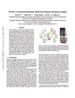 PIANO: A Parametric Hand Bone Model from Magnetic Resonance Imaging