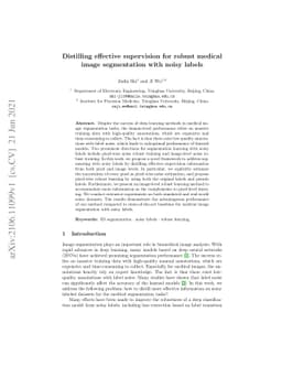 Distilling effective supervision for robust medical image segmentation
  with noisy labels