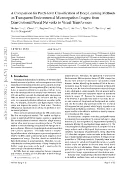 A Comparison for Patch-level Classification of Deep Learning Methods on
  Transparent Environmental Microorganism Images: from Convolutional Neural
  Networks to Visual Transformers