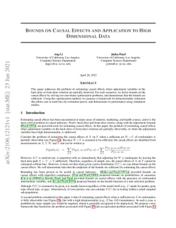 Bounds on Causal Effects and Application to High Dimensional Data