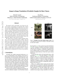 Image-to-Image Translation of Synthetic Samples for Rare Classes