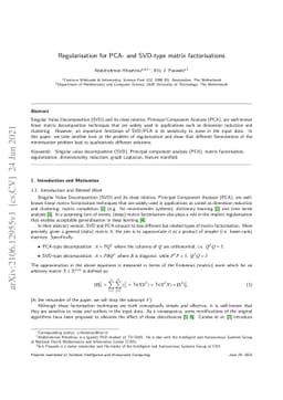 Regularisation for PCA- and SVD-type matrix factorisations