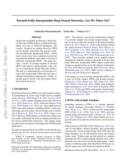 Towards Fully Interpretable Deep Neural Networks: Are We There Yet?