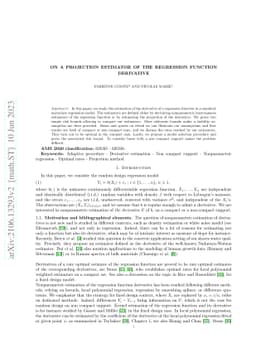 On a Projection Estimator of the Regression Function Derivative