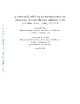 A numerically stable online implementation and exploration of WAIC
  through variations of the predictive density, using NIMBLE