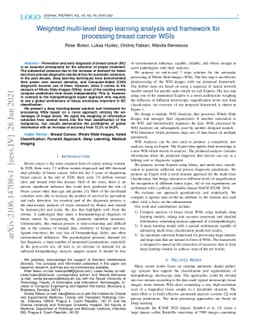 Weighted multi-level deep learning analysis and framework for processing
  breast cancer WSIs