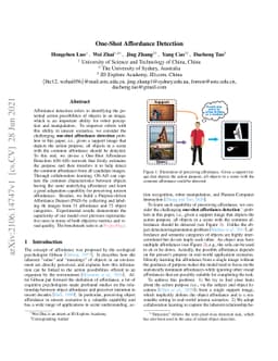 One-Shot Affordance Detection