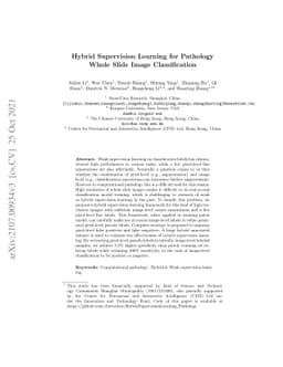 Hybrid Supervision Learning for Pathology Whole Slide Image
  Classification