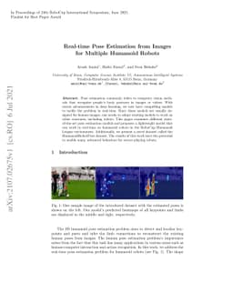 Real-time Pose Estimation from Images for Multiple Humanoid Robots