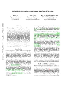 Bio-Inspired Adversarial Attack Against Deep Neural Networks