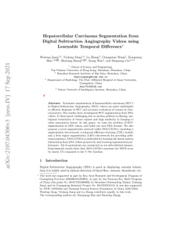 Hepatocellular Carcinoma Segmentation from Digital Subtraction
  Angiography Videos using Learnable Temporal Difference