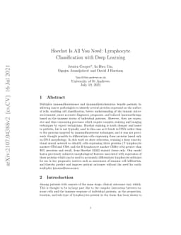 Hoechst Is All You Need: Lymphocyte Classification with Deep Learning