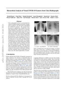 Hierarchical Analysis of Visual COVID-19 Features from Chest Radiographs