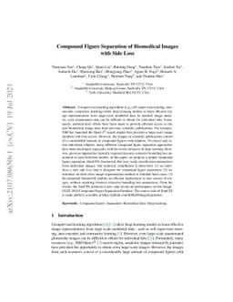 Compound Figure Separation of Biomedical Images with Side Loss