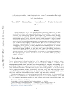Adaptive wavelet distillation from neural networks through
  interpretations