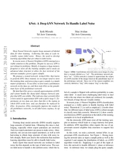 kNet: A Deep kNN Network To Handle Label Noise