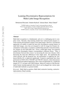 Learning Discriminative Representations for Multi-Label Image
  Recognition